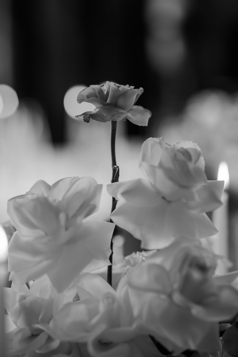 Bride holding a soft wedding bouquet